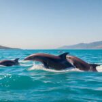 Delfines saltando en el océano cerca de montañas.