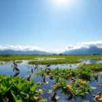Lago natural con aves y montañas al fondo